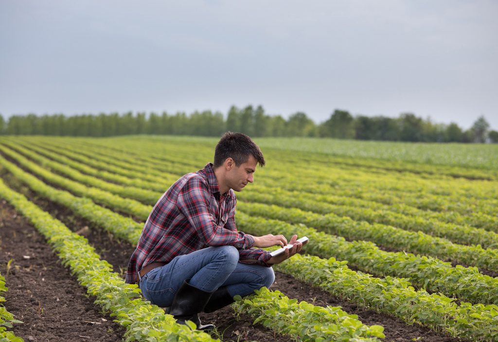 Farmer with tablet